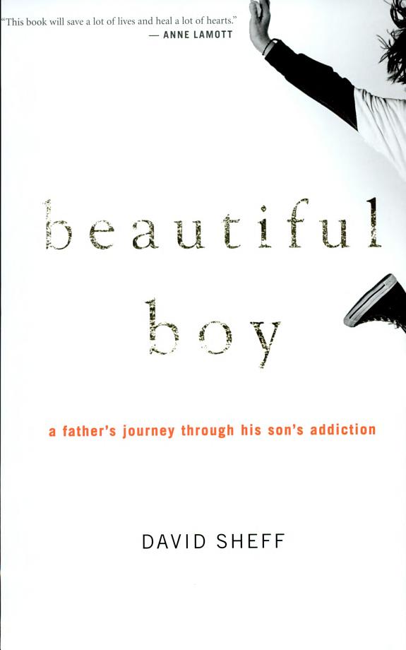 Beautiful Boy by David Sheff book cover